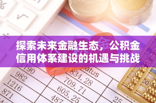 合川探索未来金融生态，公积金信用体系建设的机遇与挑战