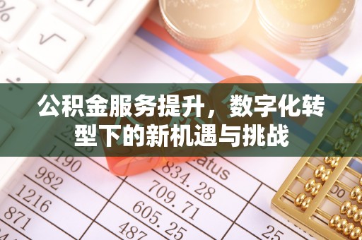 合川公积金服务提升，数字化转型下的新机遇与挑战