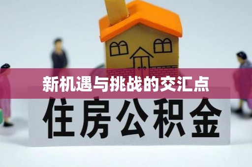 合川新机遇与挑战的交汇点
