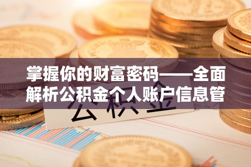 合川掌握你的财富密码——全面解析公积金个人账户信息管理与优化
