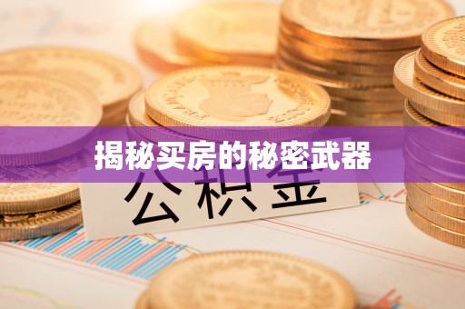 合川揭秘买房的秘密武器