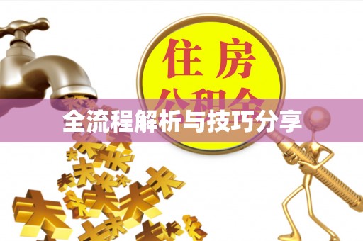 合川全流程解析与技巧分享